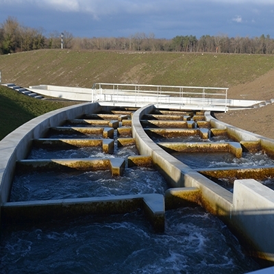 The Efficiency of Fish Ladders