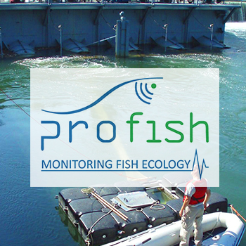 Appel à candidatures pour le post de technicien en écologie aquatique