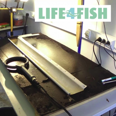 LIFE4FISH: Examining the Migration Success of Trouts and Salmons at the Hydropower Plant near Namur, Belgium (2018-03-07)