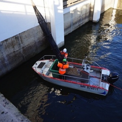 Évaluation de l'impact du turbinage de la centrale hydroélectrique d'Andenne sur les poissons de la Meuse (2016-12-15)