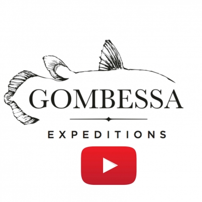 Video: Gombessa IV Genesis-Expedition - Tracking Gray Reef Sharks in French Polynesia (2017-07-03)