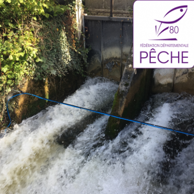 New RFID System for the Silver Eel Monitoring at the Somme, France (2017-11-01)